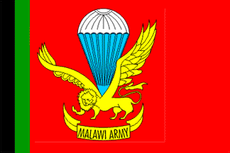 [parachute regiment or unit flag]